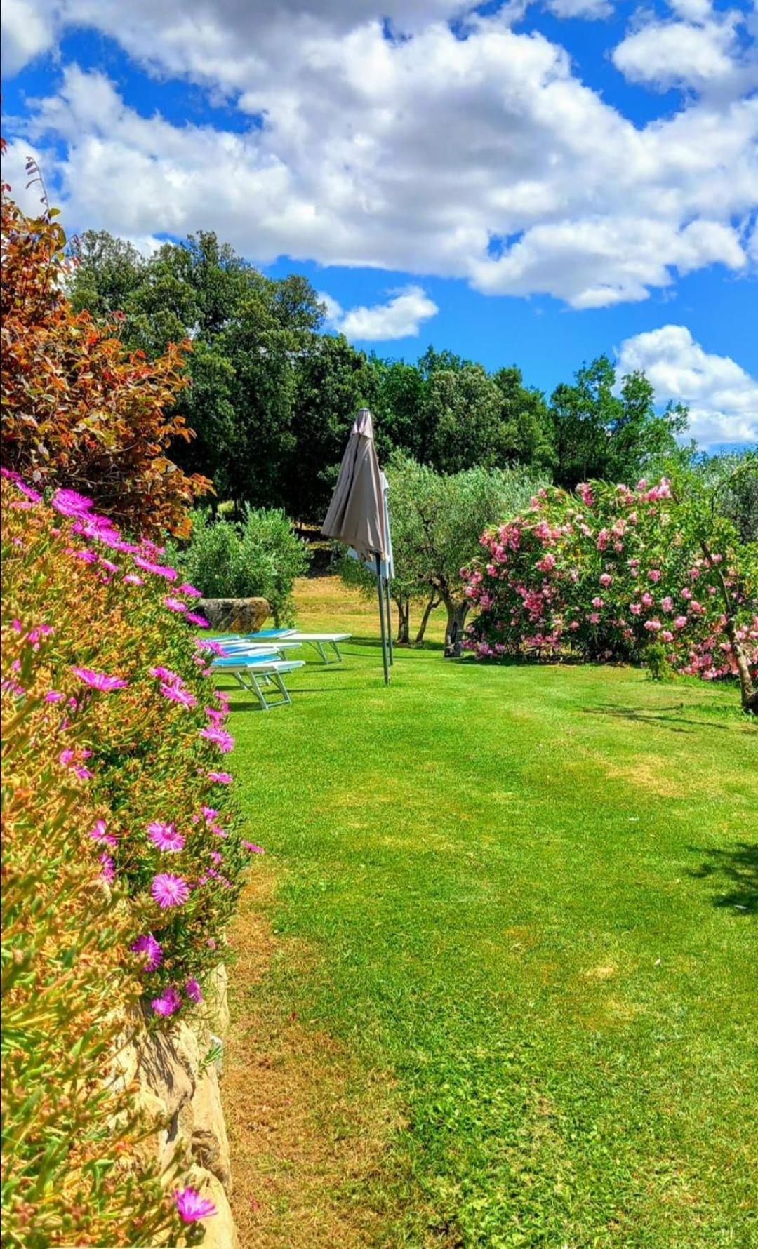Casolare Il Moro Villa Monte San Savino Luaran gambar