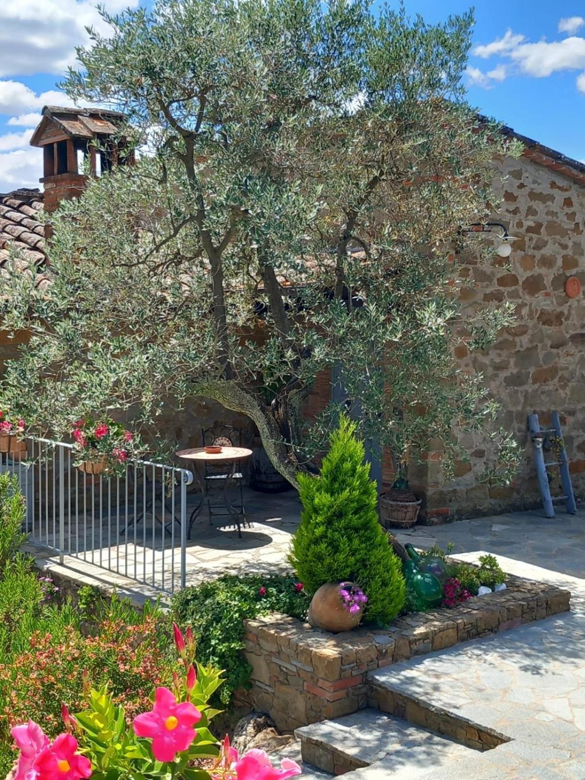 Casolare Il Moro Villa Monte San Savino Luaran gambar